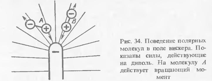  поведение полярных молекул